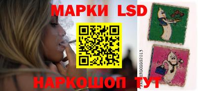 сатива Краснодар