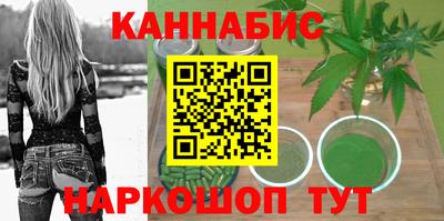 крисы Краснознаменск