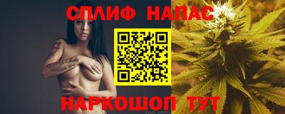 крисы Краснознаменск