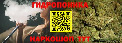сатива Краснодар