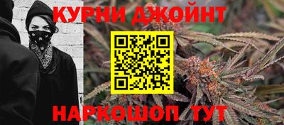 крисы Краснознаменск