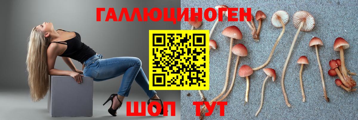 Псилоцибиновые грибы прущие грибы Шелехов